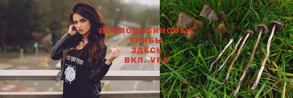 первитин Беломорск