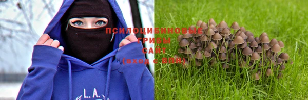первитин Беломорск